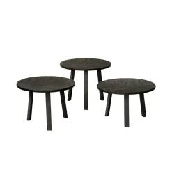 RENEW Bijzettafel Lazio Teakhout, Set van 3 stuks* Bijzettafels Set|Ronde Bijzettafel