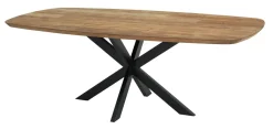 DTP Home Eettafel Evo Deens ovaal* Ovale Eettafel