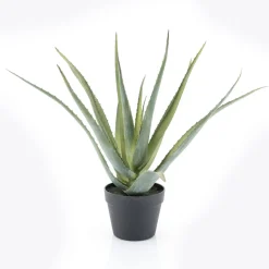 By-Boo Kunstplant Aloë Vera 58cm hoog* Kunstplanten