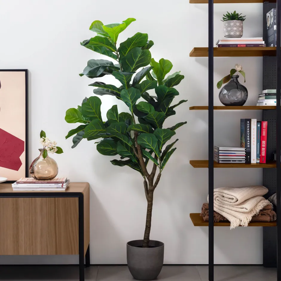 Kave Home Kunstplant Ficus* Kunstplanten