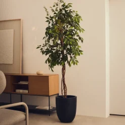 Kave Home Kunstplant Ficus 180cm hoog, excl. sierpot* Kunstplanten