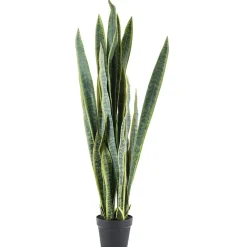 By-Boo Kunstplant Sansevieria* Kunstplanten
