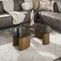 LifestyleFurn Organische Salontafel Kely, set van 2 stuks, Brons glas* Salontafel Set|Glazen Salontafel