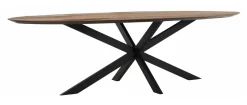 DTP Home Ovale Eettafel Shape Teakhout* Ovale Eettafel
