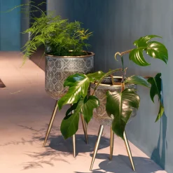 Dutchbone Plantenstandaard Botanique* Potten & Manden